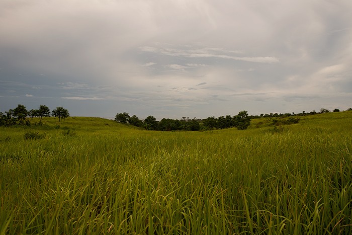 https://www.gazarphoto.com/files/gimgs/th-11_su2.jpg