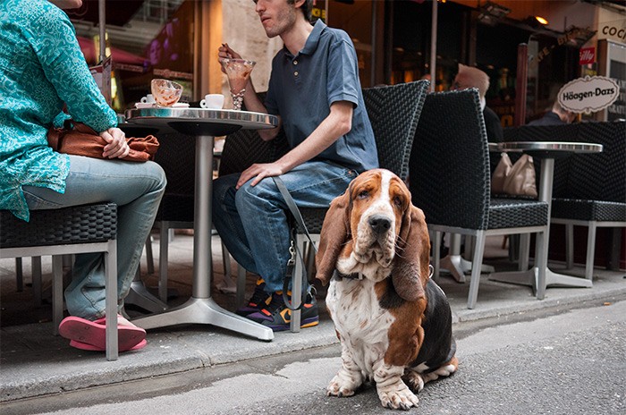 https://www.gazarphoto.com/files/gimgs/th-18_Paris3.jpg