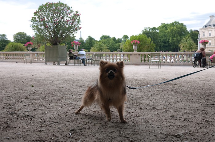 https://www.gazarphoto.com/files/gimgs/th-18_Paris5.jpg