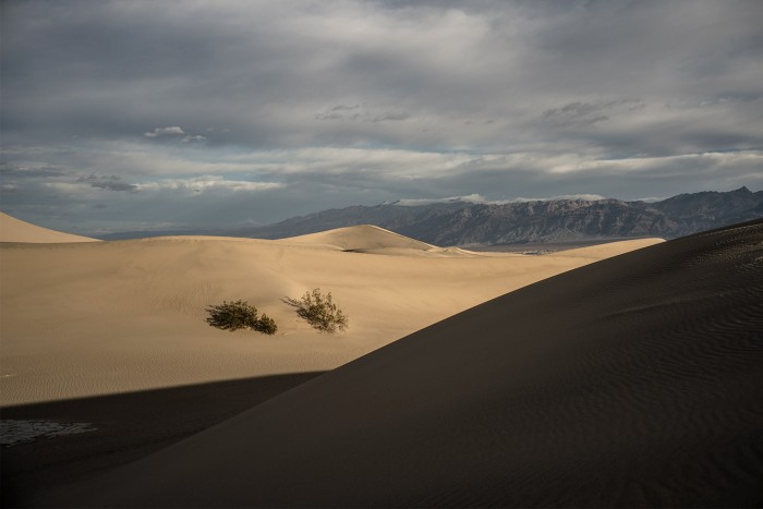 https://www.gazarphoto.com/files/gimgs/th-53_Dunes1-copy.jpg