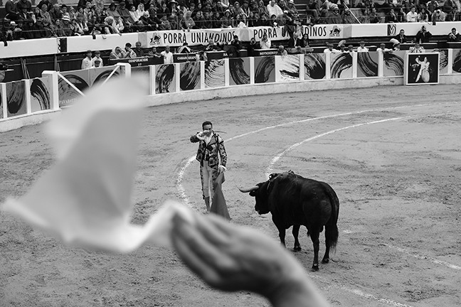 https://www.gazarphoto.com/files/gimgs/th-56_bull30.jpg