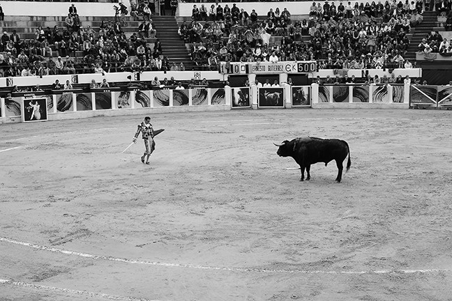 https://www.gazarphoto.com/files/gimgs/th-56_bull42.jpg